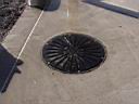 Drain Lid.jpg